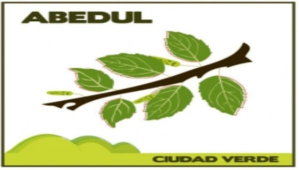 CONJUNTO RESIDENCIAL ABEDUL - PH