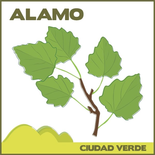 CONJUNTO RESIDENCIAL ALAMO – PROPIEDAD HORIZONTAL