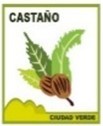 CONJUNTO RESIDENCIAL CASTAÑO - PH