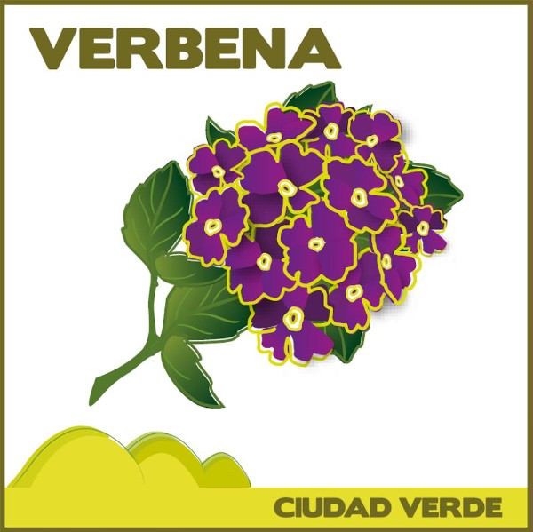 VERBENA CONJUNTO RESIDENCIAL